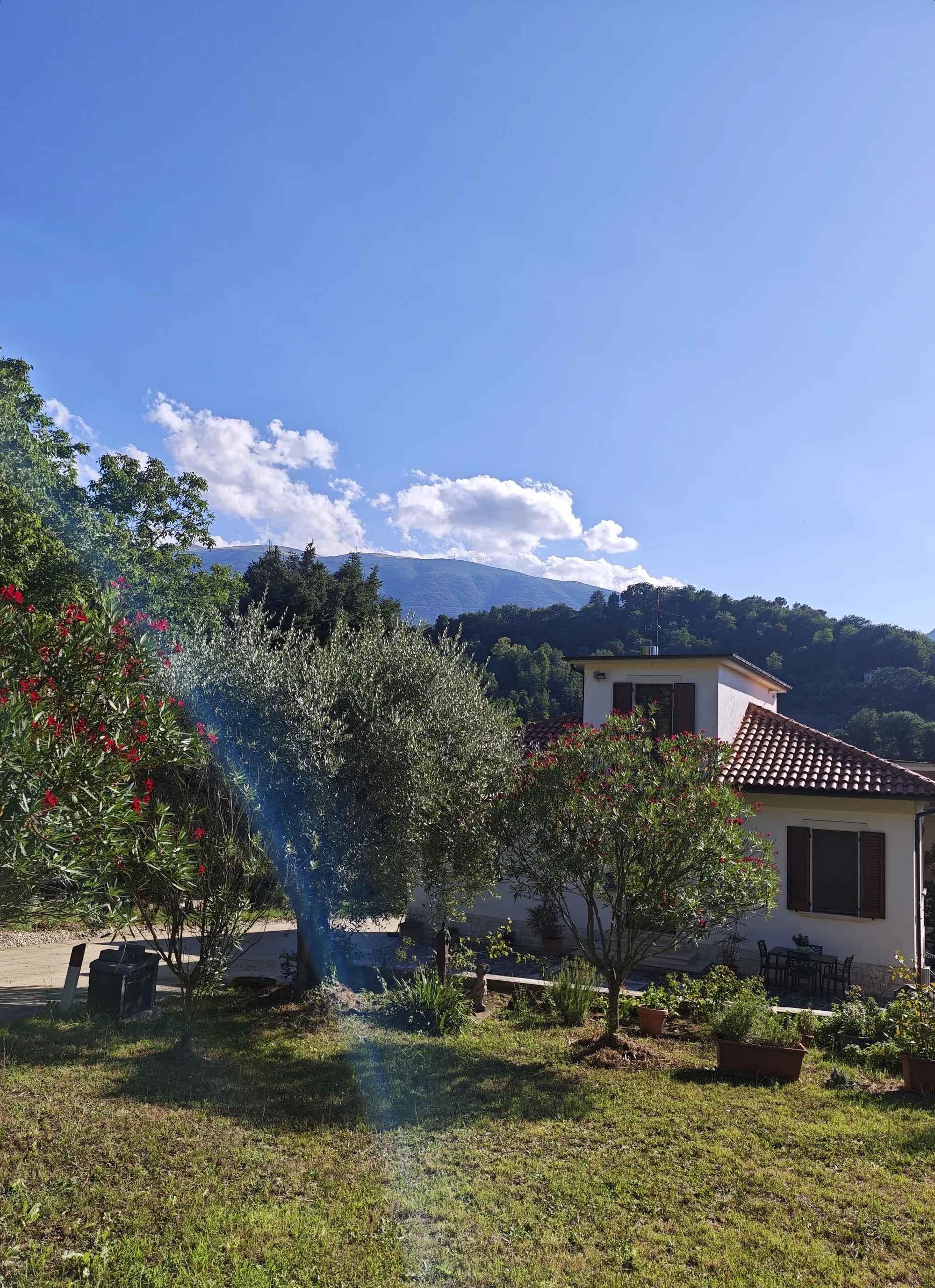 Vista sulle colline dal giardino